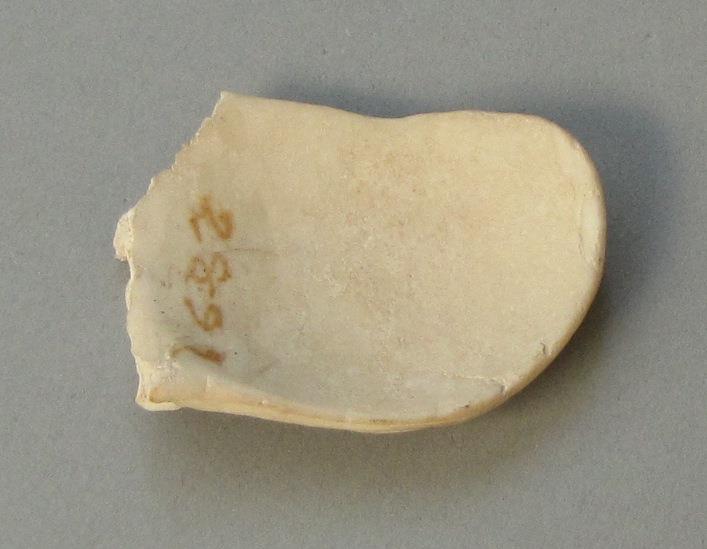 IV Ca 6020