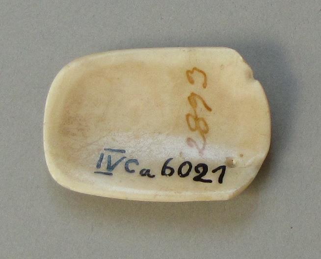 IV Ca 6021