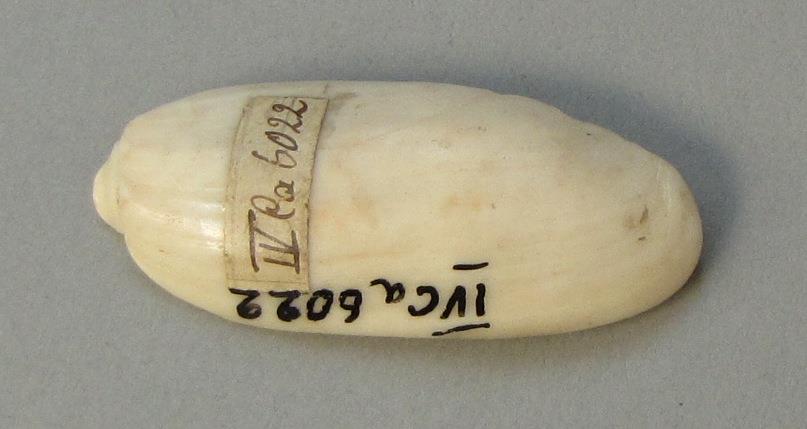 IV Ca 6022