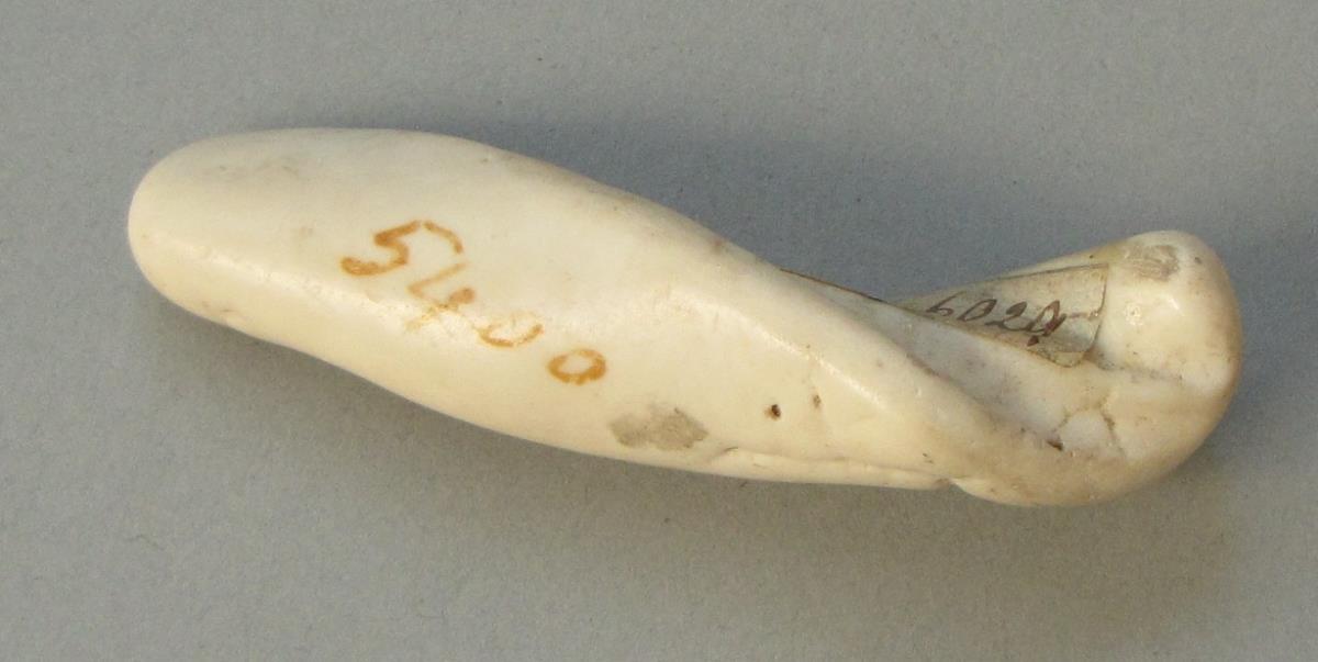 IV Ca 6029