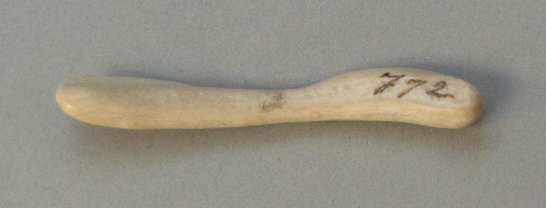 IV Ca 6031