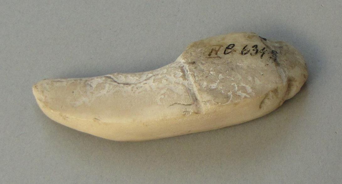 IV Ca 6343