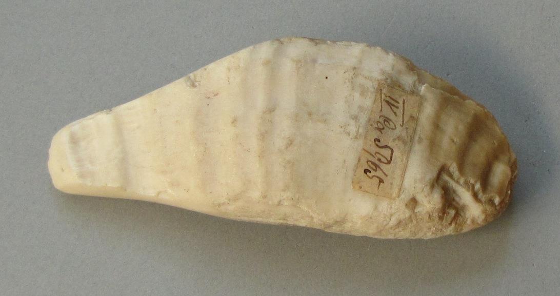 IV Ca 5965