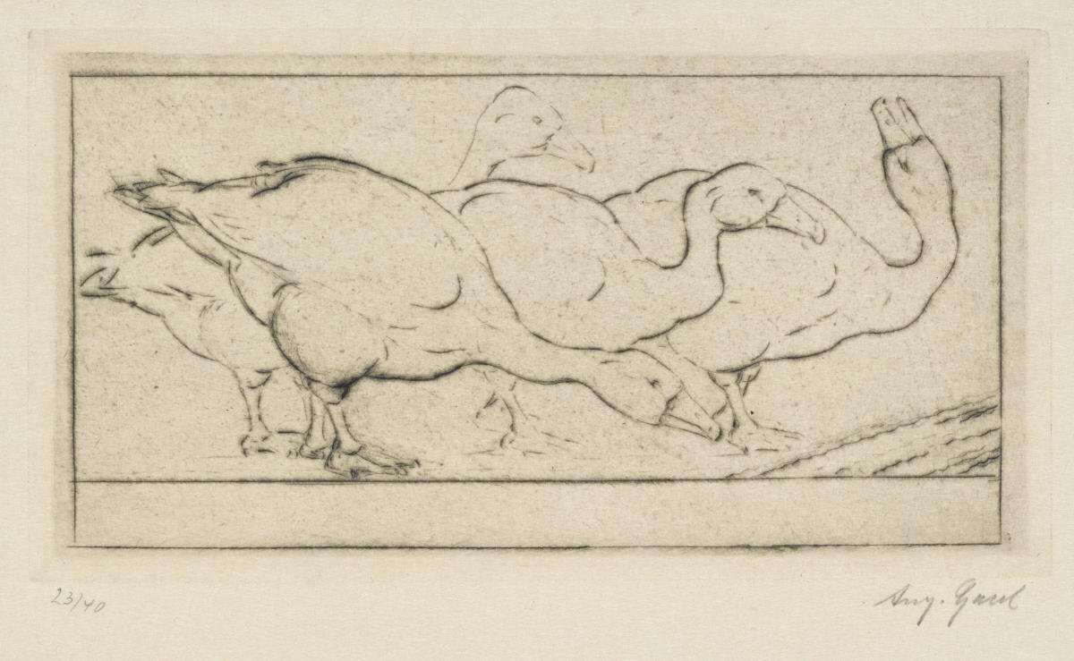 Trinkende Gänse. Blatt 6 aus: Trinkende Tiere