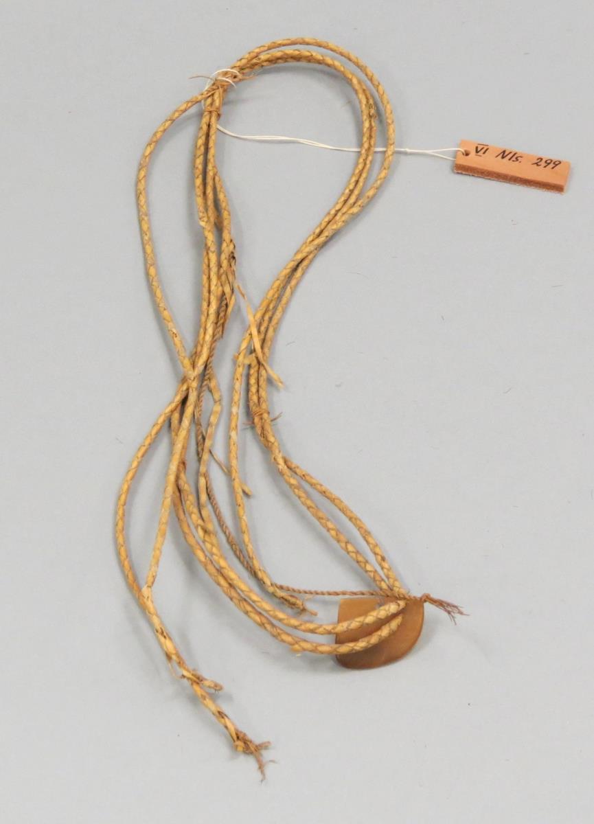 VI Nls 299