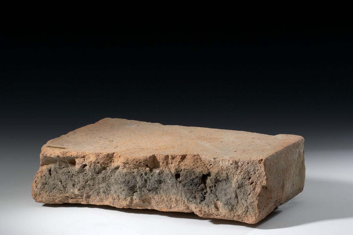 Reliefziegelfragment mit Teil eines Drachenkopfes