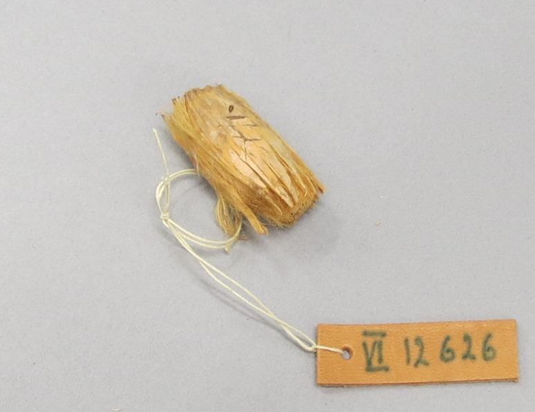 VI 12626