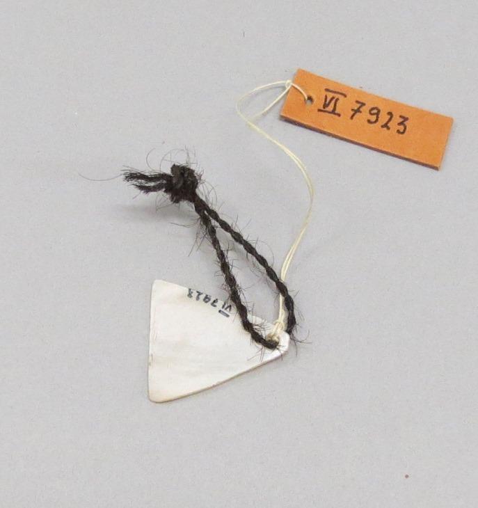VI 7923