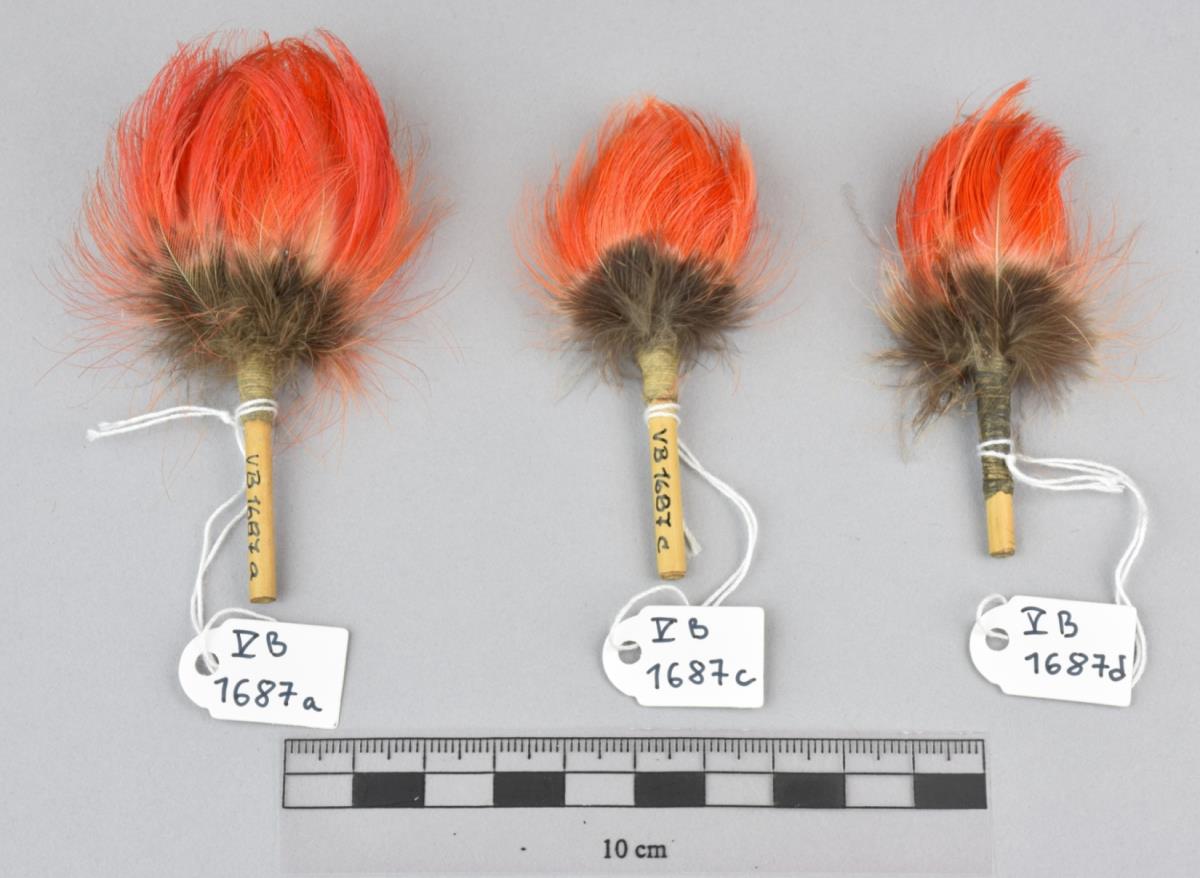 V B 1687 a,c,d