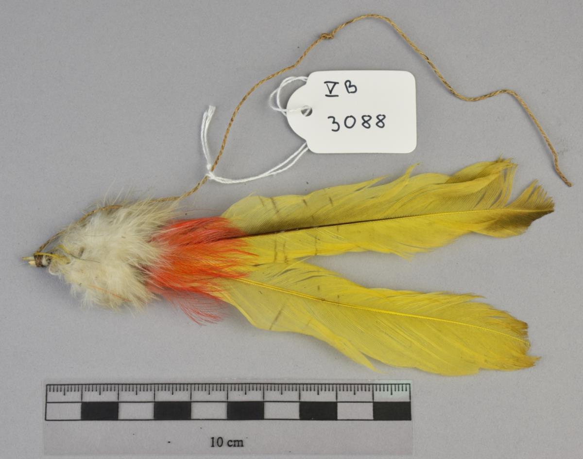V B 3088