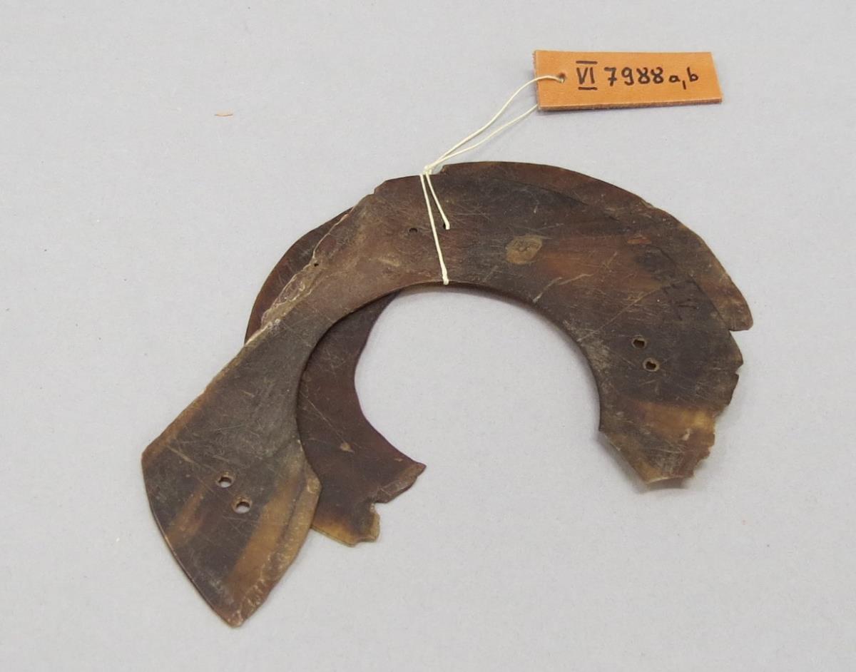 VI 7988 a,b