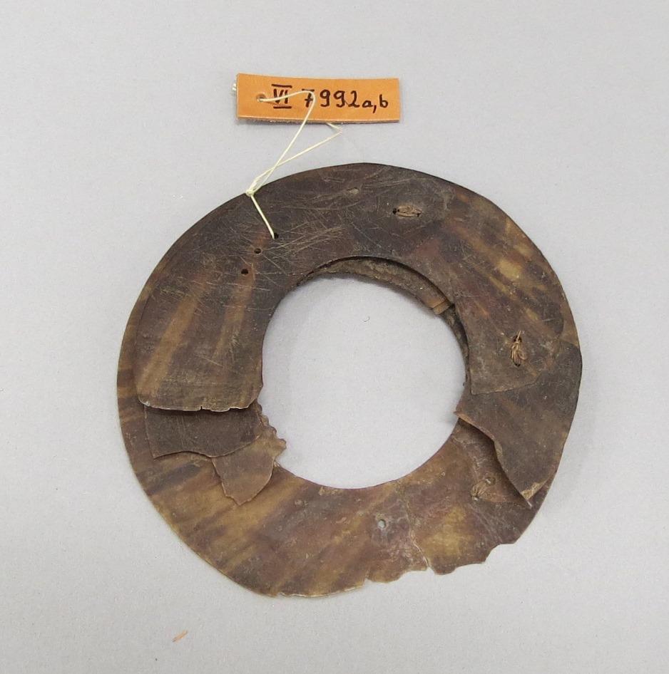 VI 7992 a,b
