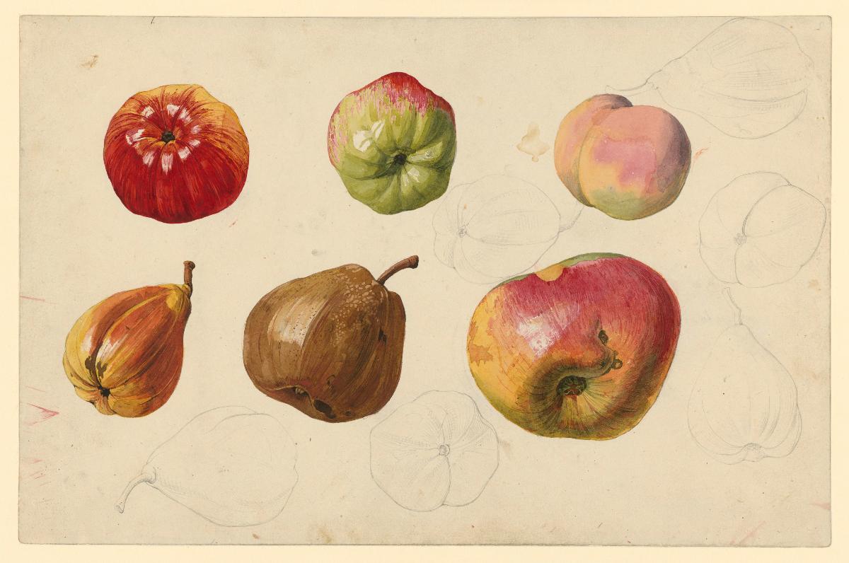 Obststudien: Apfel, Feigen und Pfirsiche