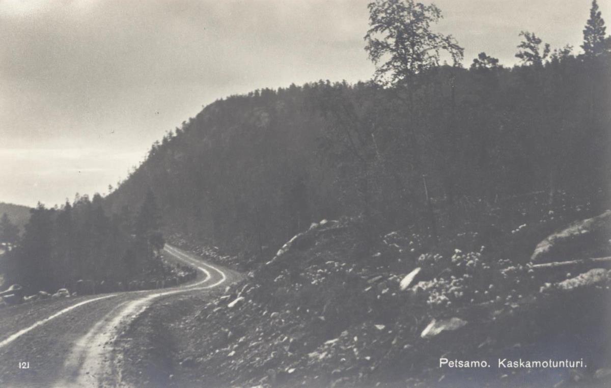 Petsamo. Kaskamotunturi.