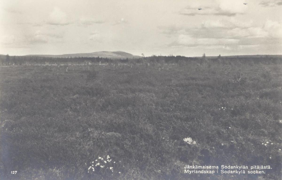 Jänkämaisema Sodankylan pitäjästä (Moorlandschaft in Sodankylä)