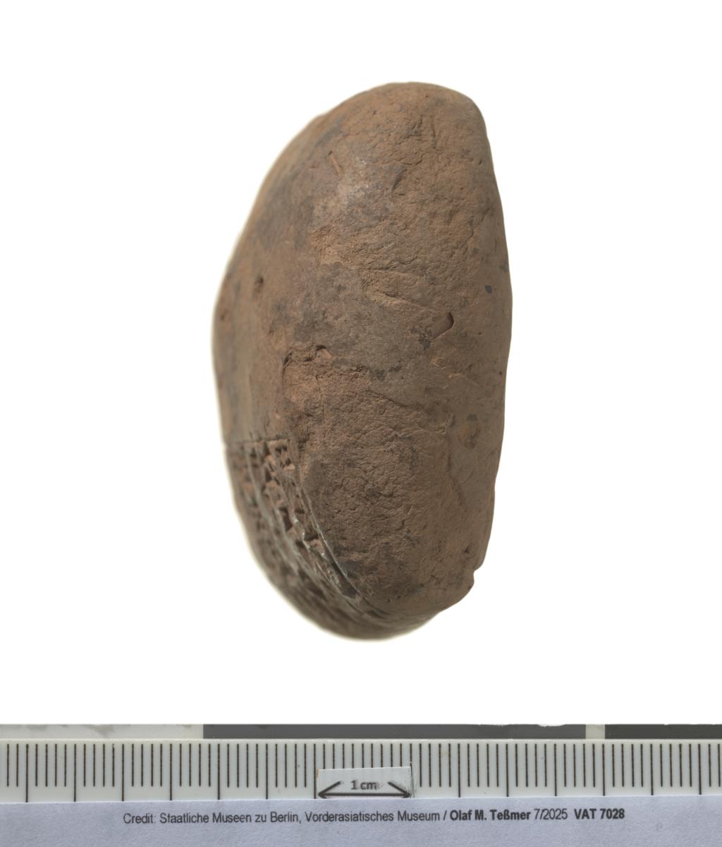 Felderplan