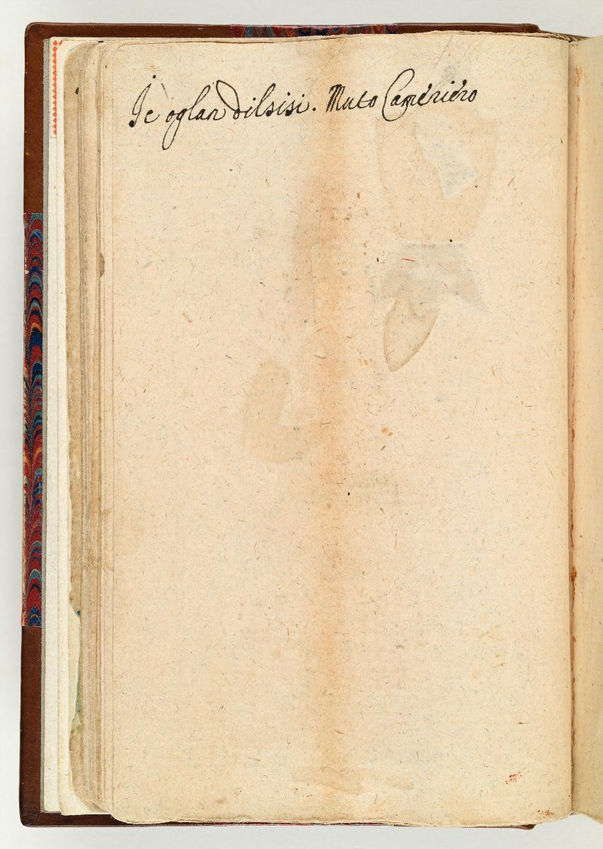 Türkisches Trachtenbuch: Dulbint oglani (Turban-Junge)
