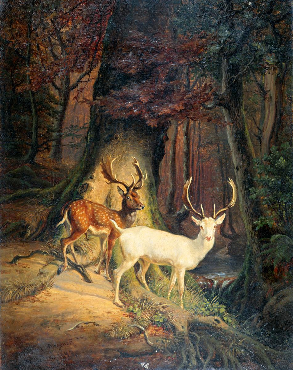 Damwild