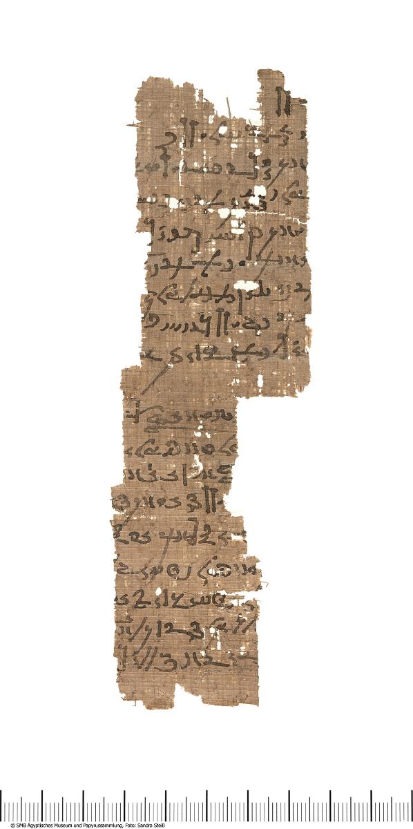 Demotischer Papyrus mit einem Teil einer Version des Großen demotischen Weisheitsbuches (P. Michigan 3854a + Pap. Berlin P. 29007 + P. Aberdeen 178)