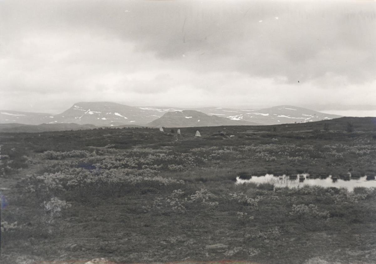 Ultevis Heide