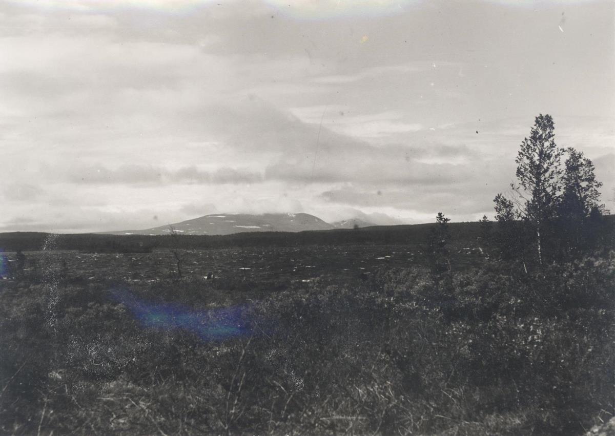Pieljekaise Nationalpark