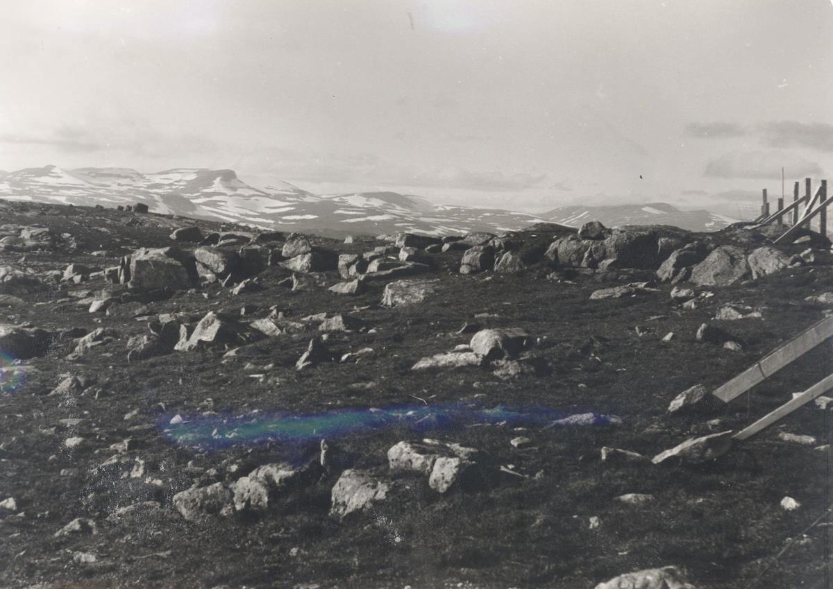 Rentiergehege am Nasafjäll