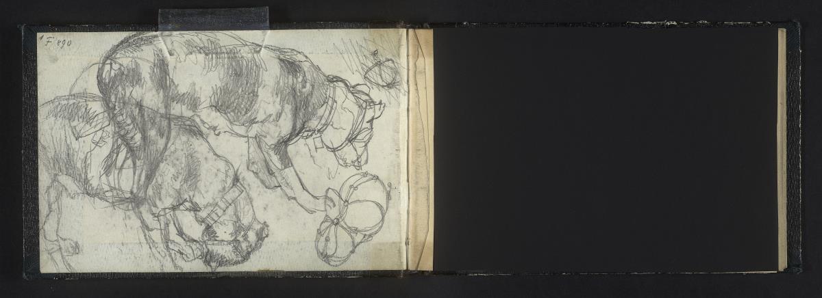 Studien eines Hundes mit Maulkorb