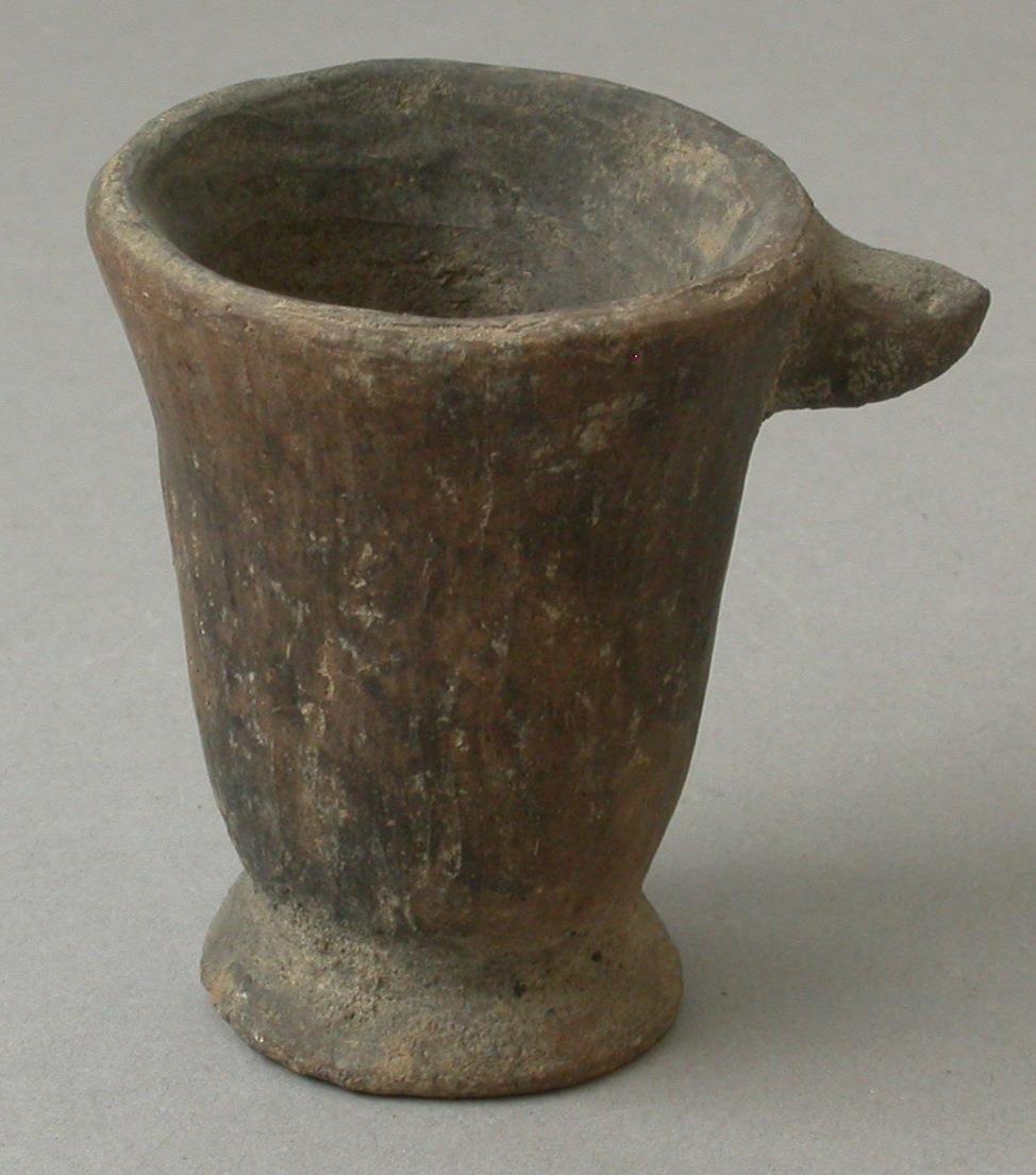 IV Ca 2198