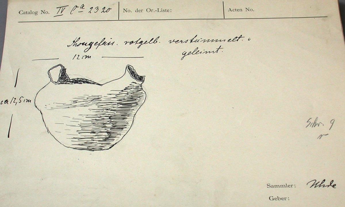 IV Ca 2320