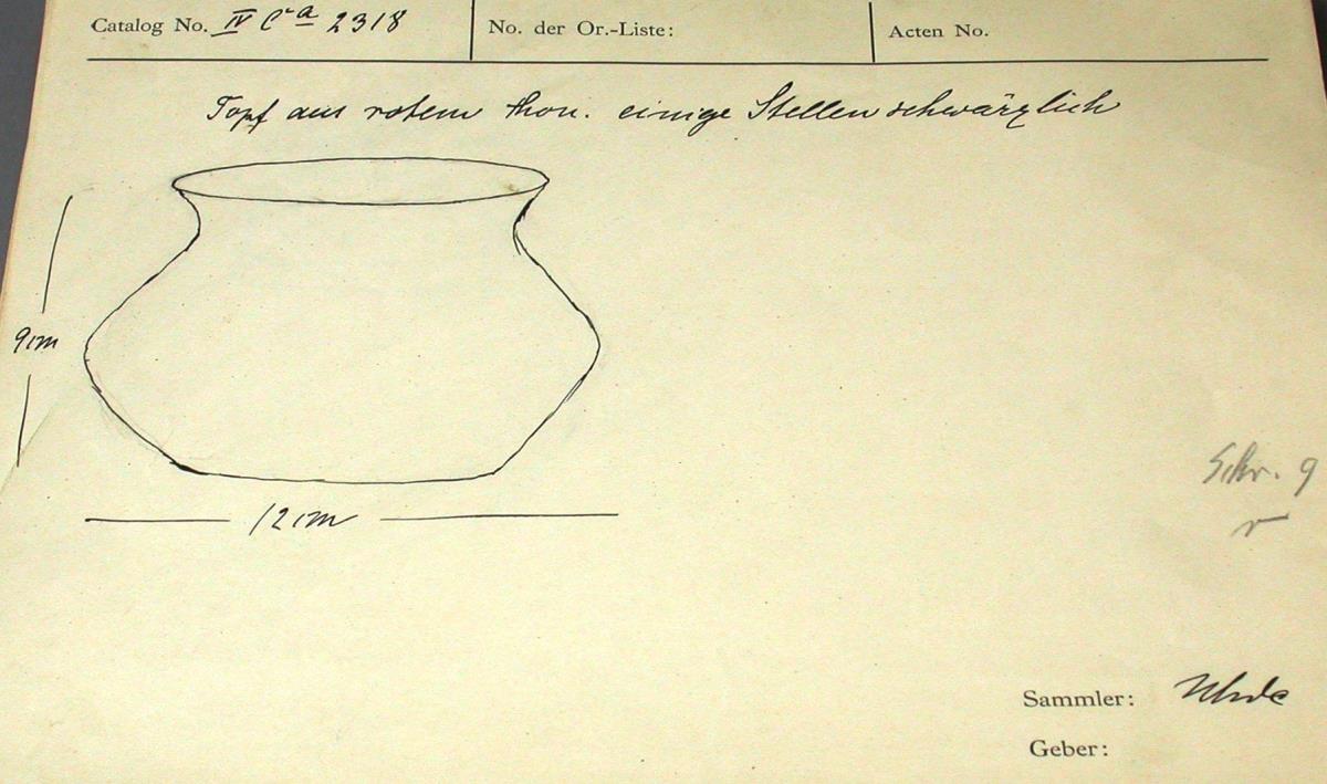 IV Ca 2318