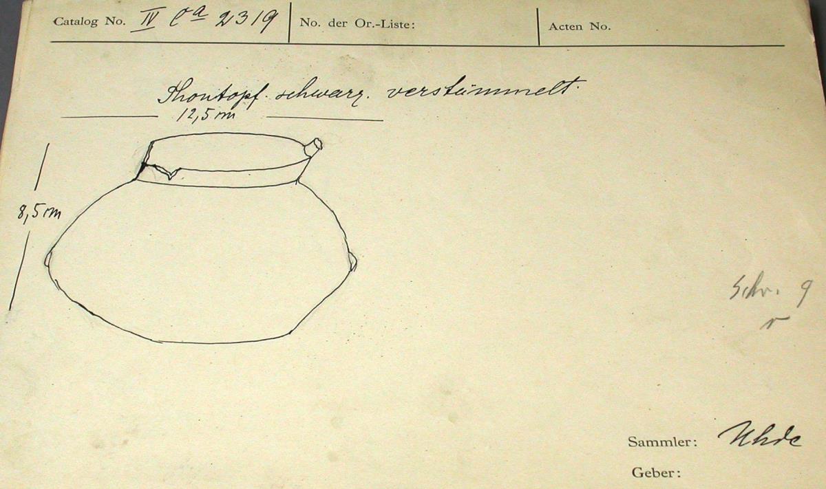 IV Ca 2319