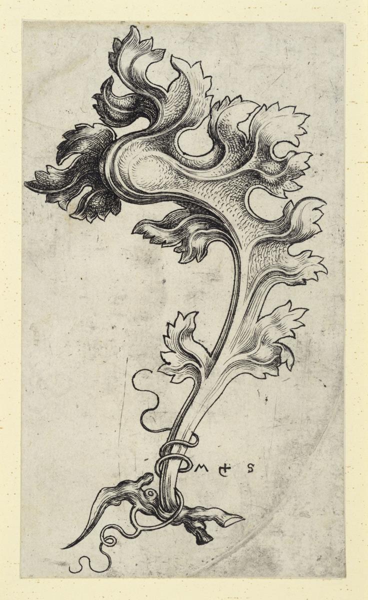 Krabbe