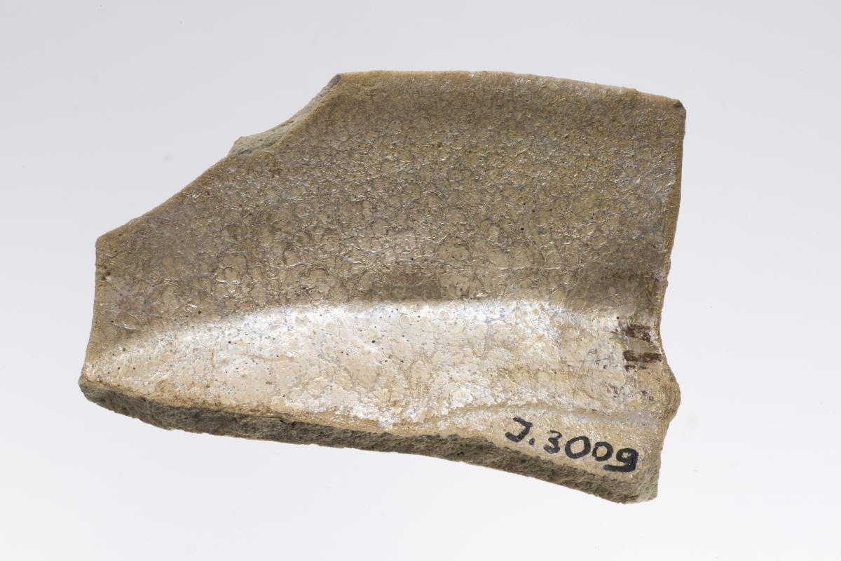 I. 3009