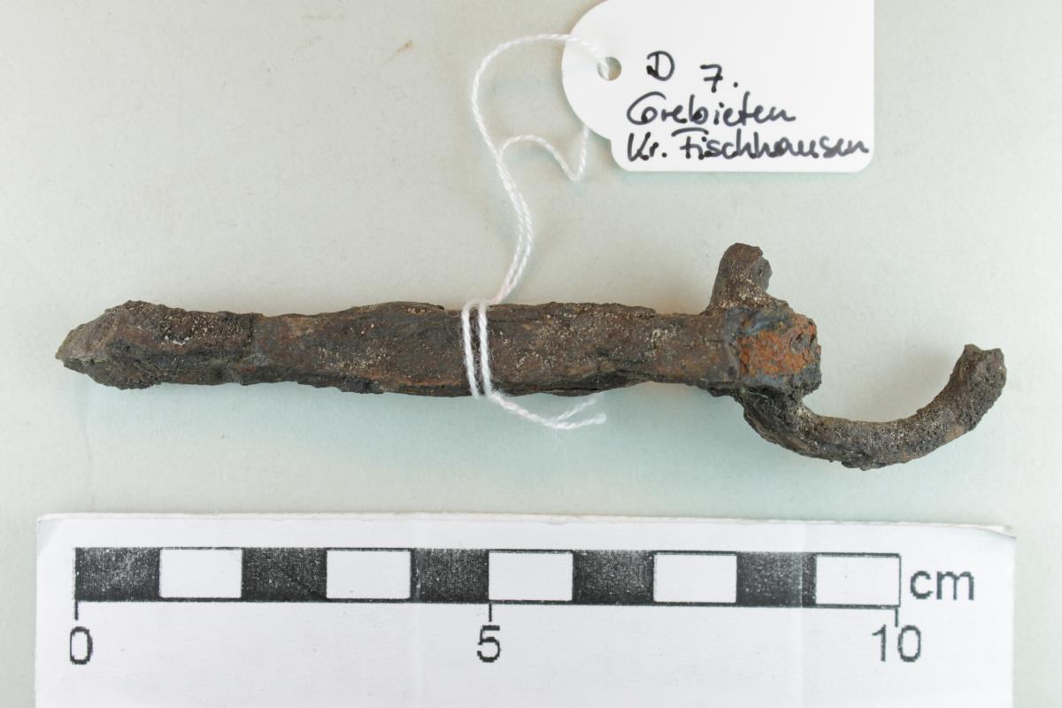 Ringtrensenfragment