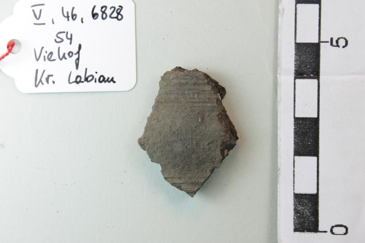 Gefäßfragment