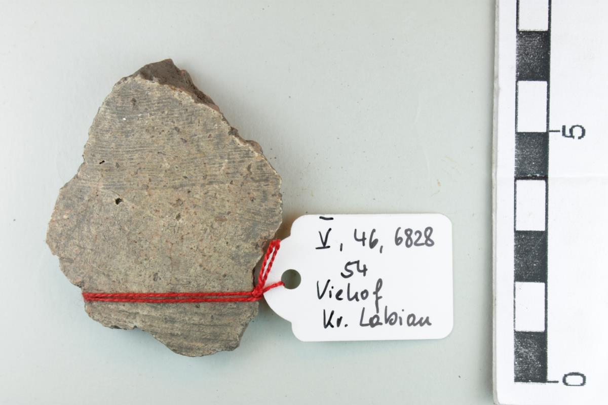 Gefäßfragment