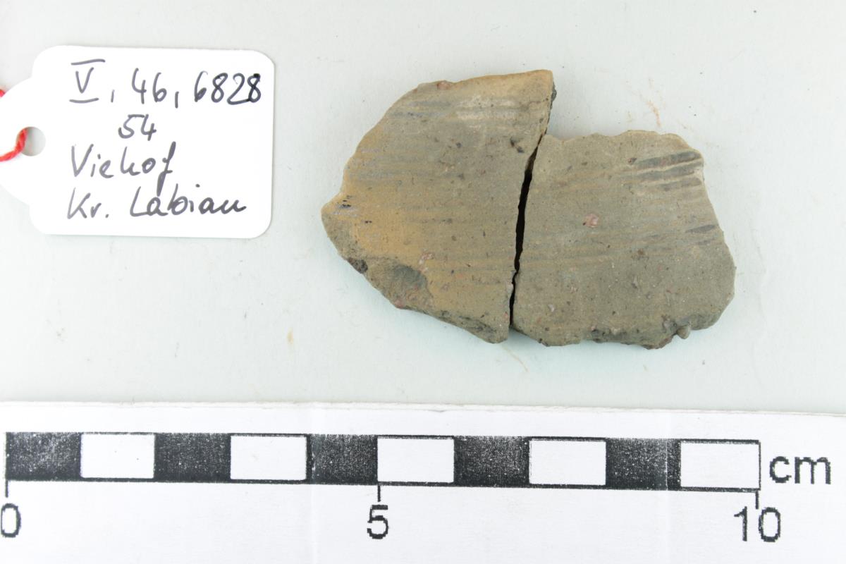 Gefäßfragment