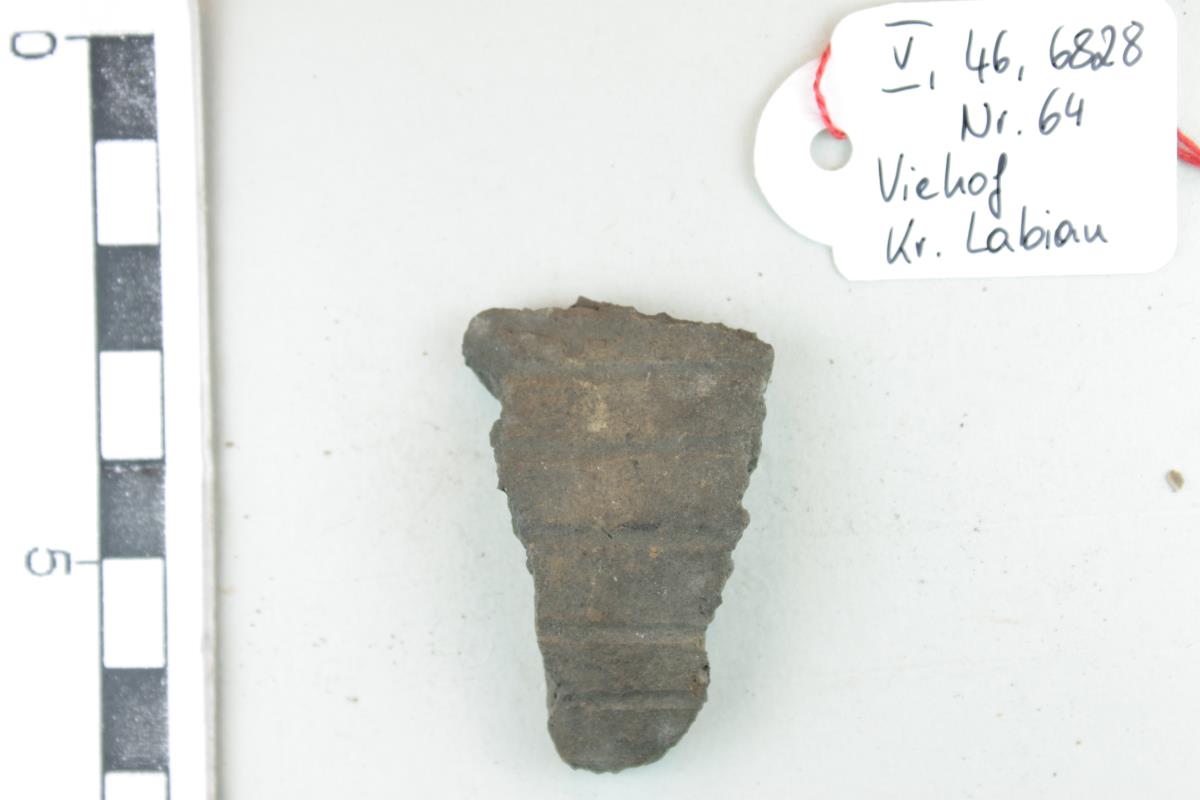 Gefäßfragment
