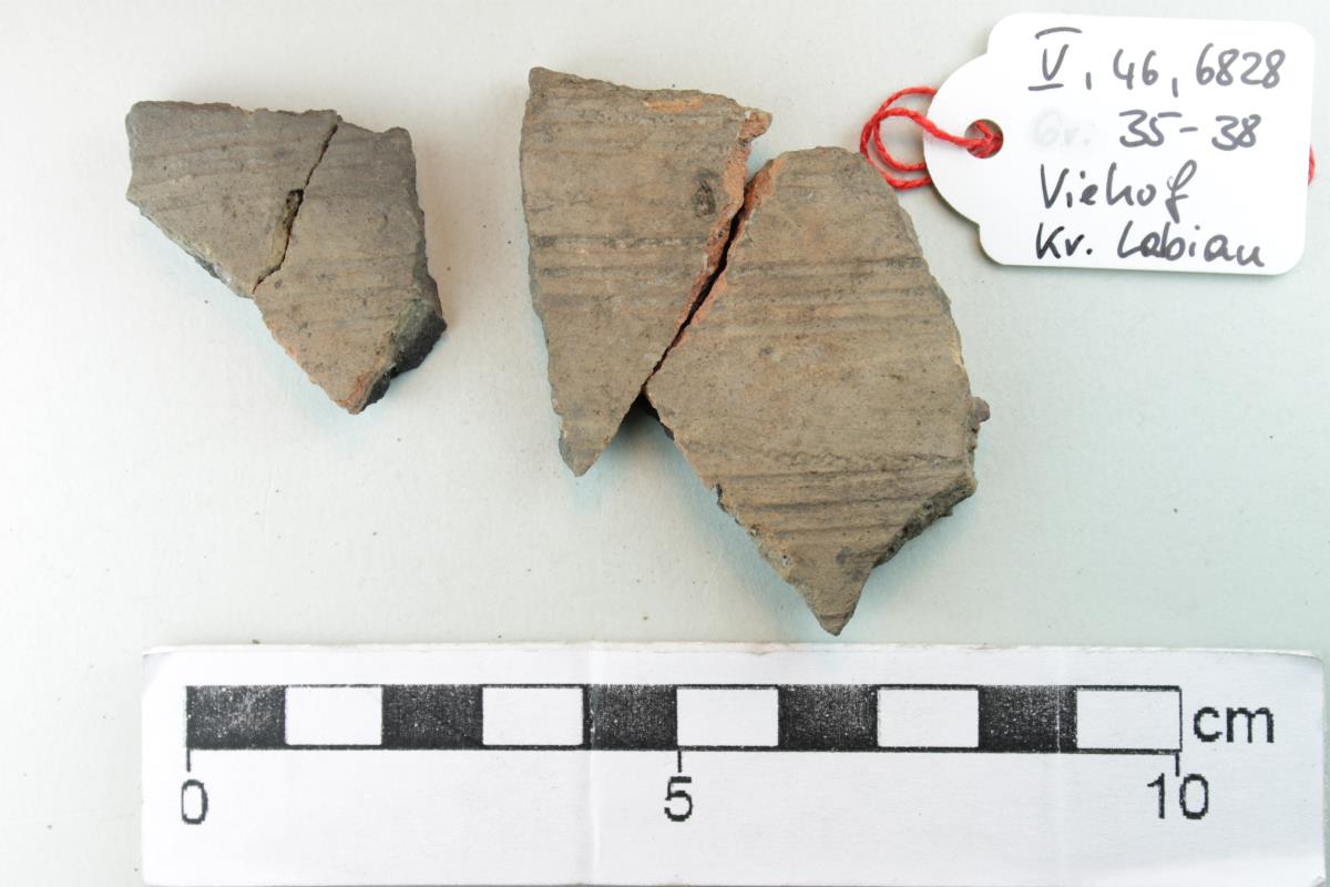 Gefäßfragment