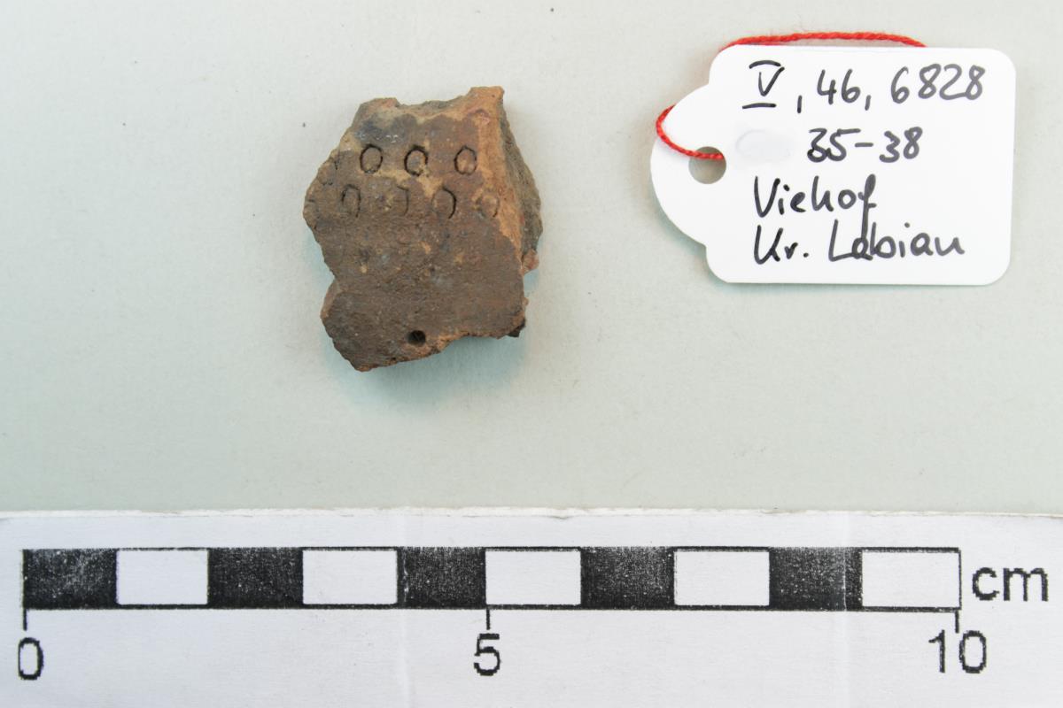 Gefäßfragment