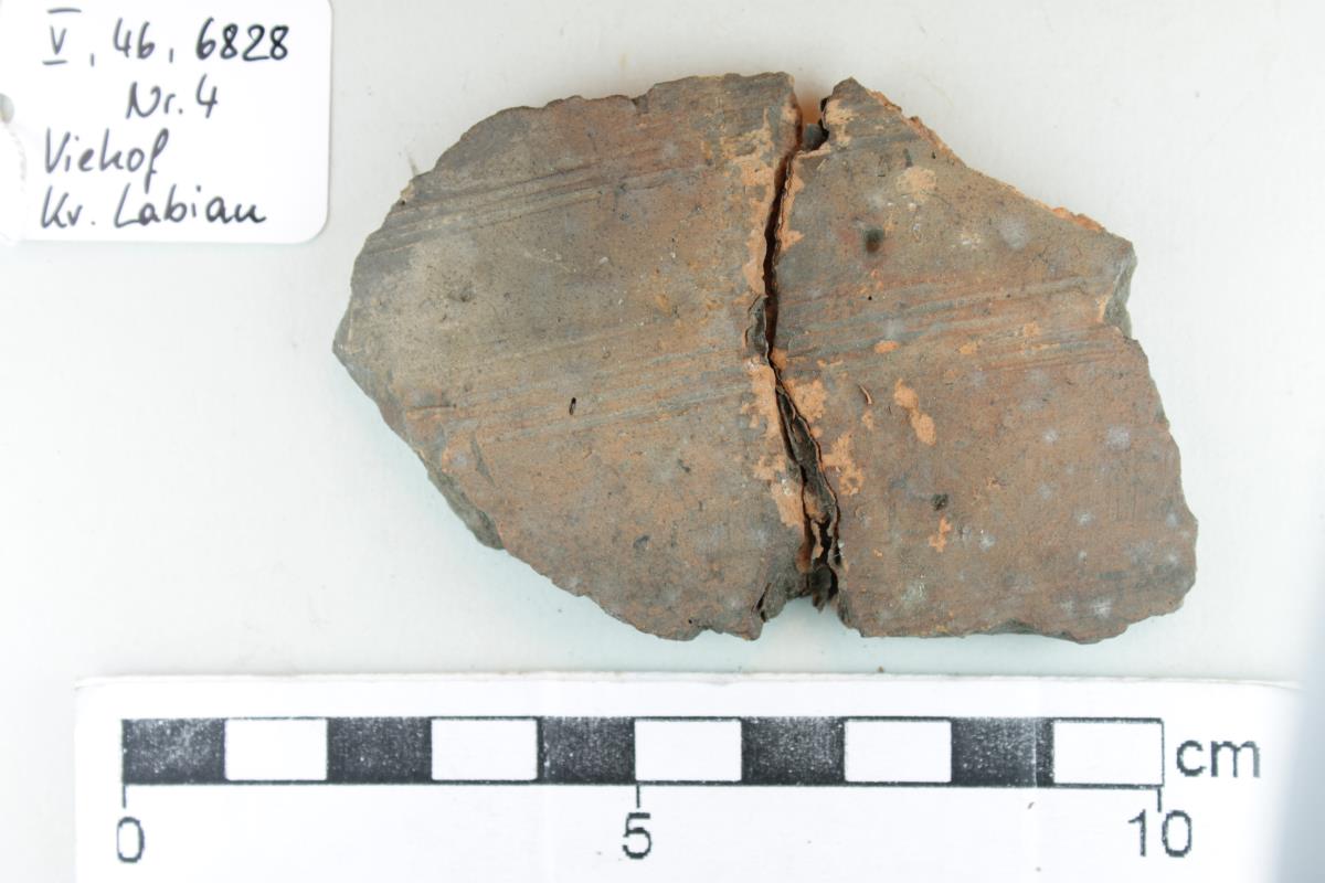 Gefäßfragment