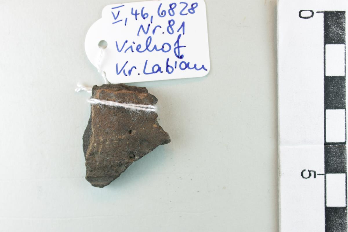 Gefäßfragment