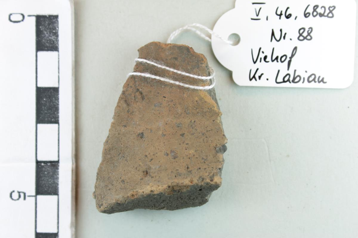 Gefäßfragment