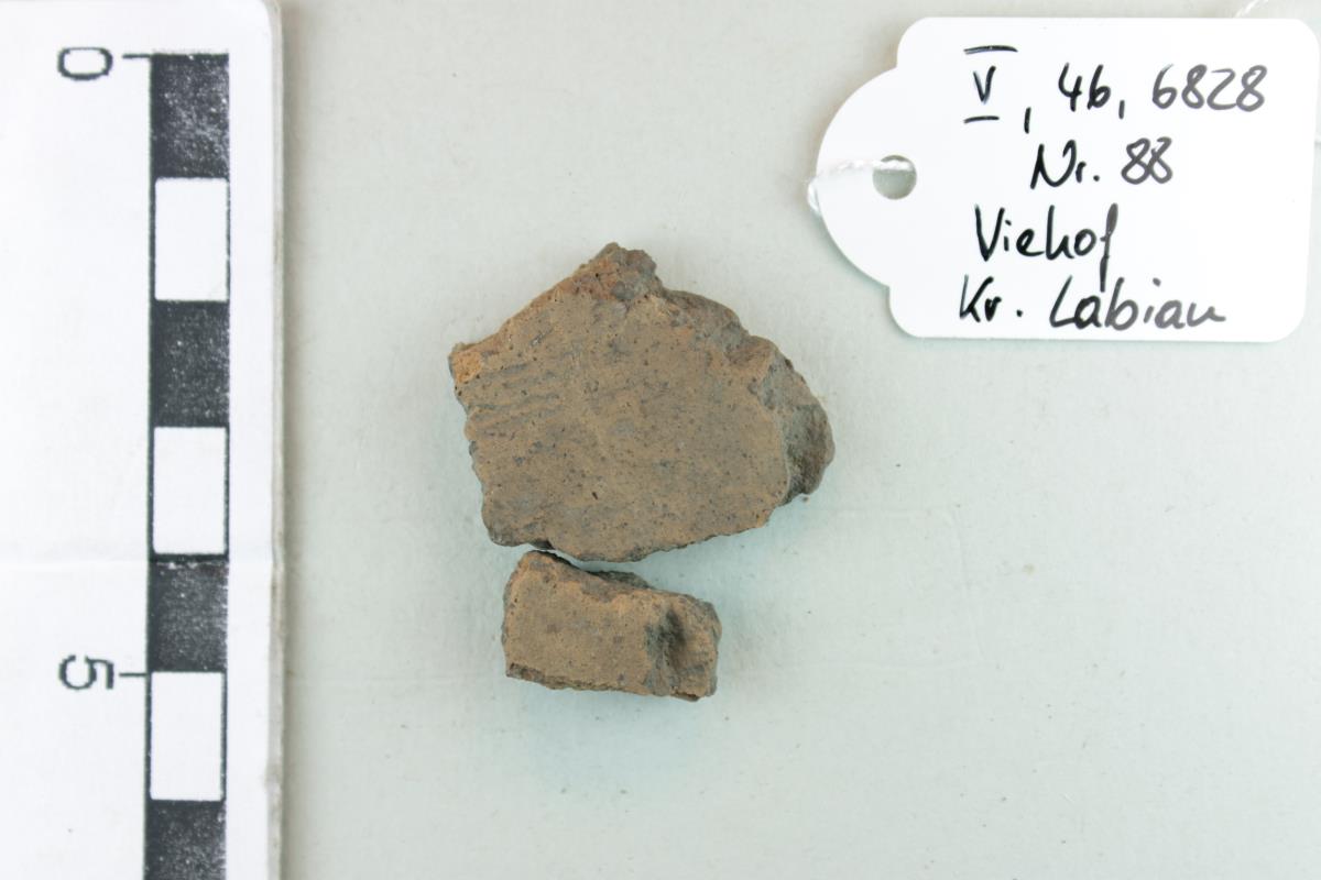 Gefäßfragment