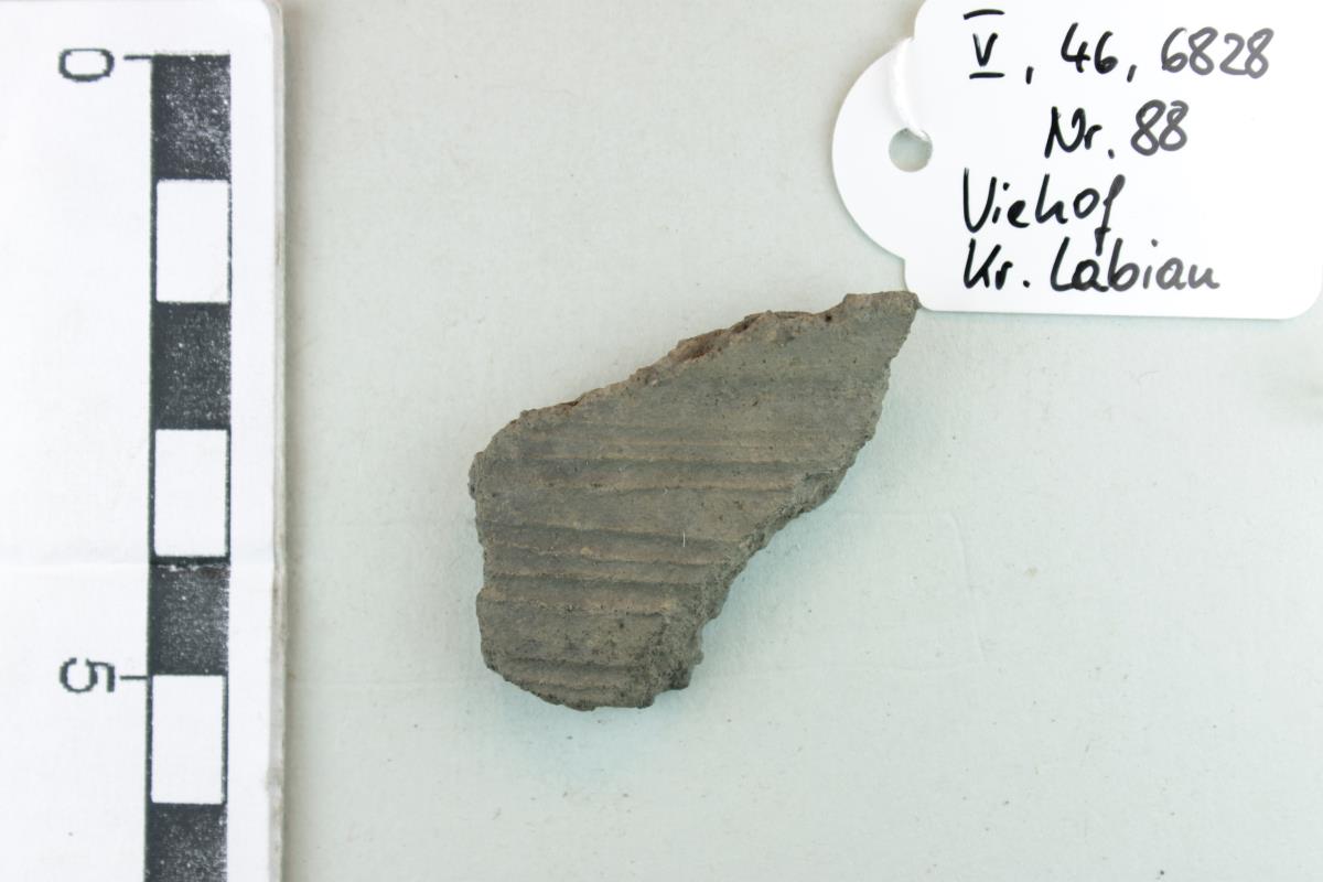 Gefäßfragment