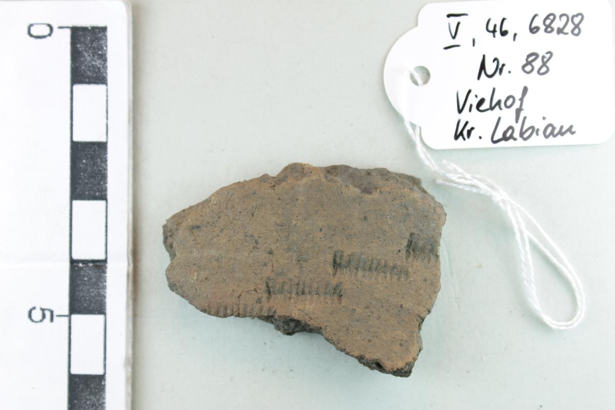 Gefäßfragment