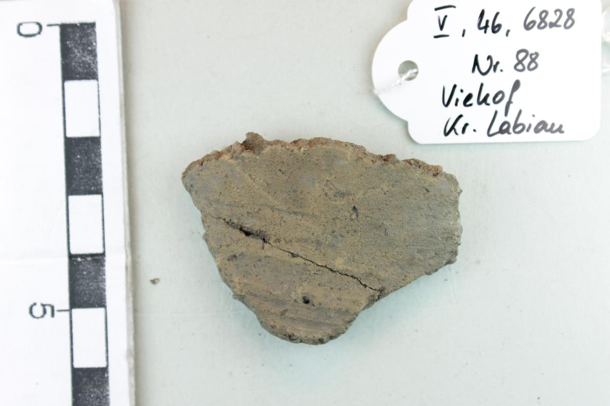 Gefäßfragment