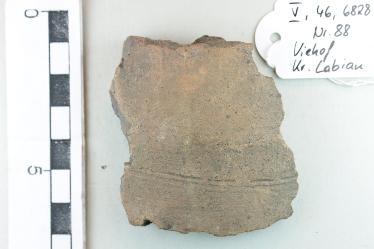 Gefäßfragment