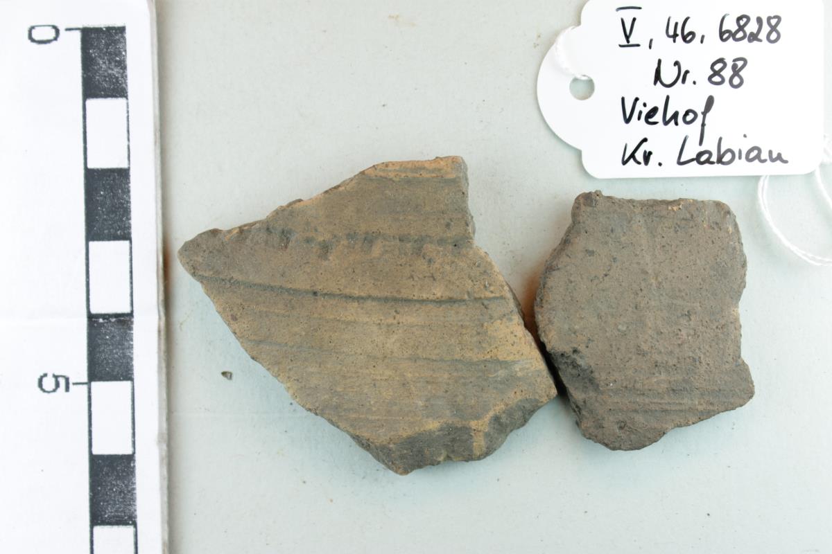 Gefäßfragment
