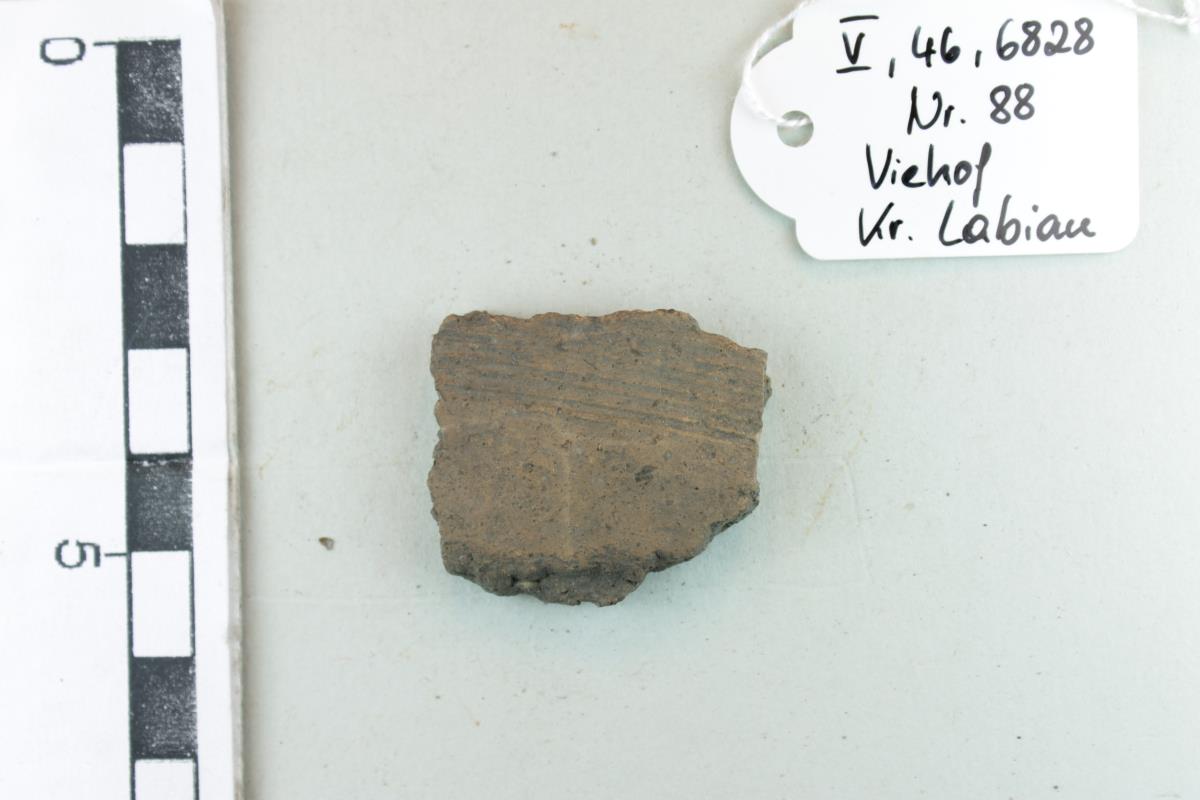 Gefäßfragment